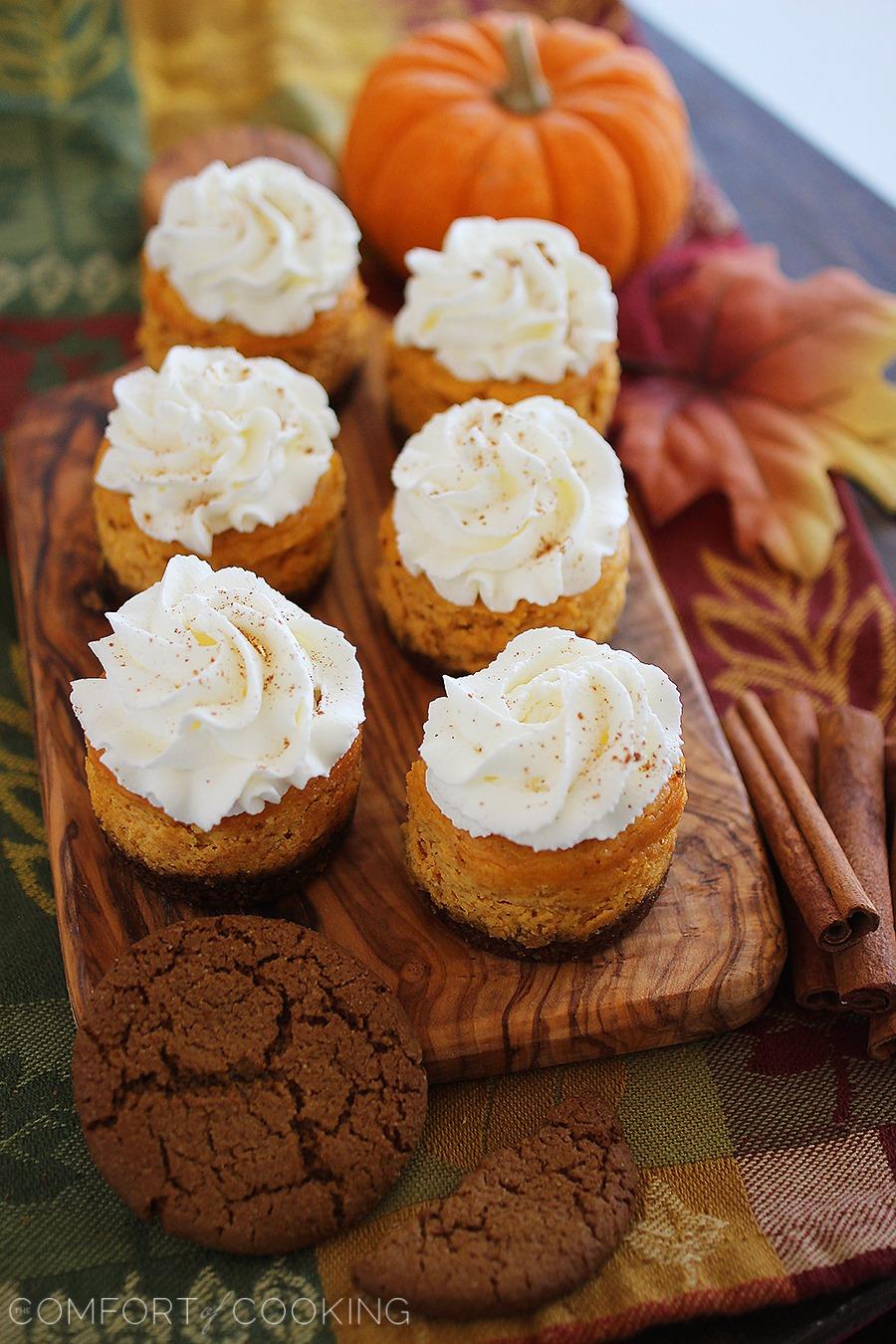 Mini Pumpkin Cheesecakes with Gingersnap Crusts – These creamy pumpkin cheesecakes with spiced gingersnap cookie crusts are to die for! | thecomfortofcooking.com