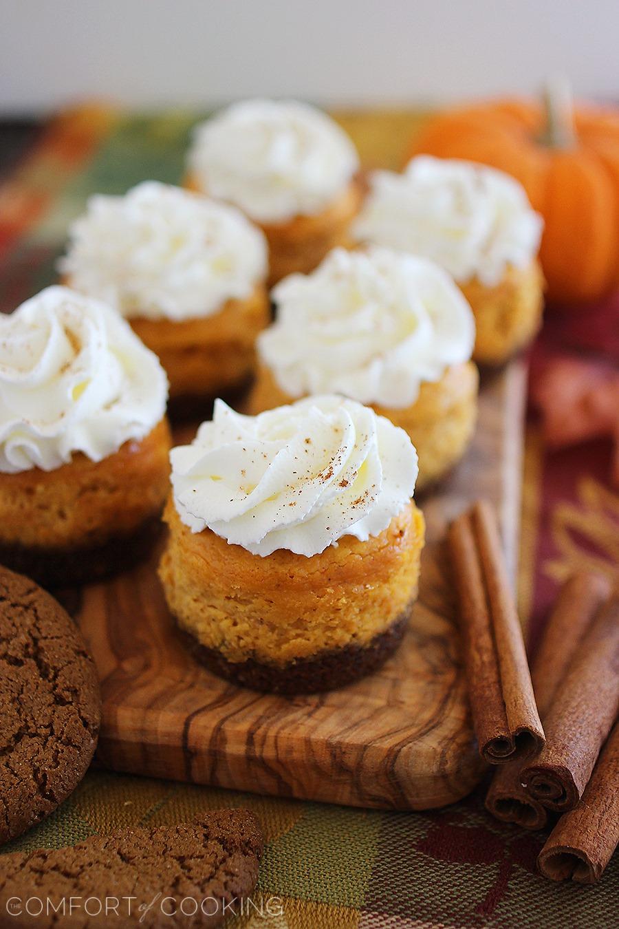 Mini Pumpkin Cheesecakes with Gingersnap Crusts – These creamy pumpkin cheesecakes with spiced gingersnap cookie crusts are to die for! | thecomfortofcooking.com
