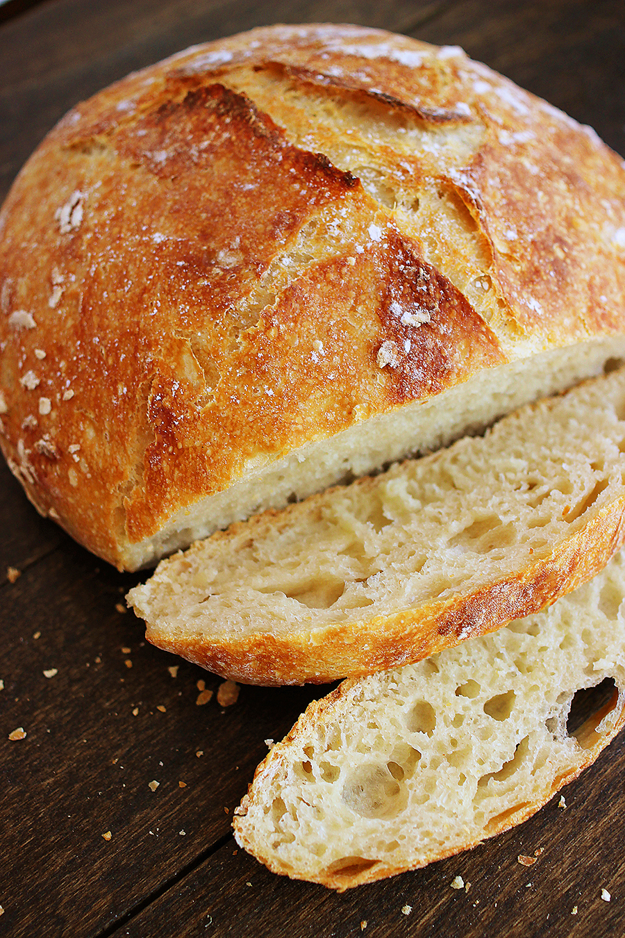 No-Knead Crusty Artisan Mini Loaves – So crusty, fluffy, and EASY! Just 3 ingredients and 5 minutes for these homemade loaves. thecomfortofcooking.com 