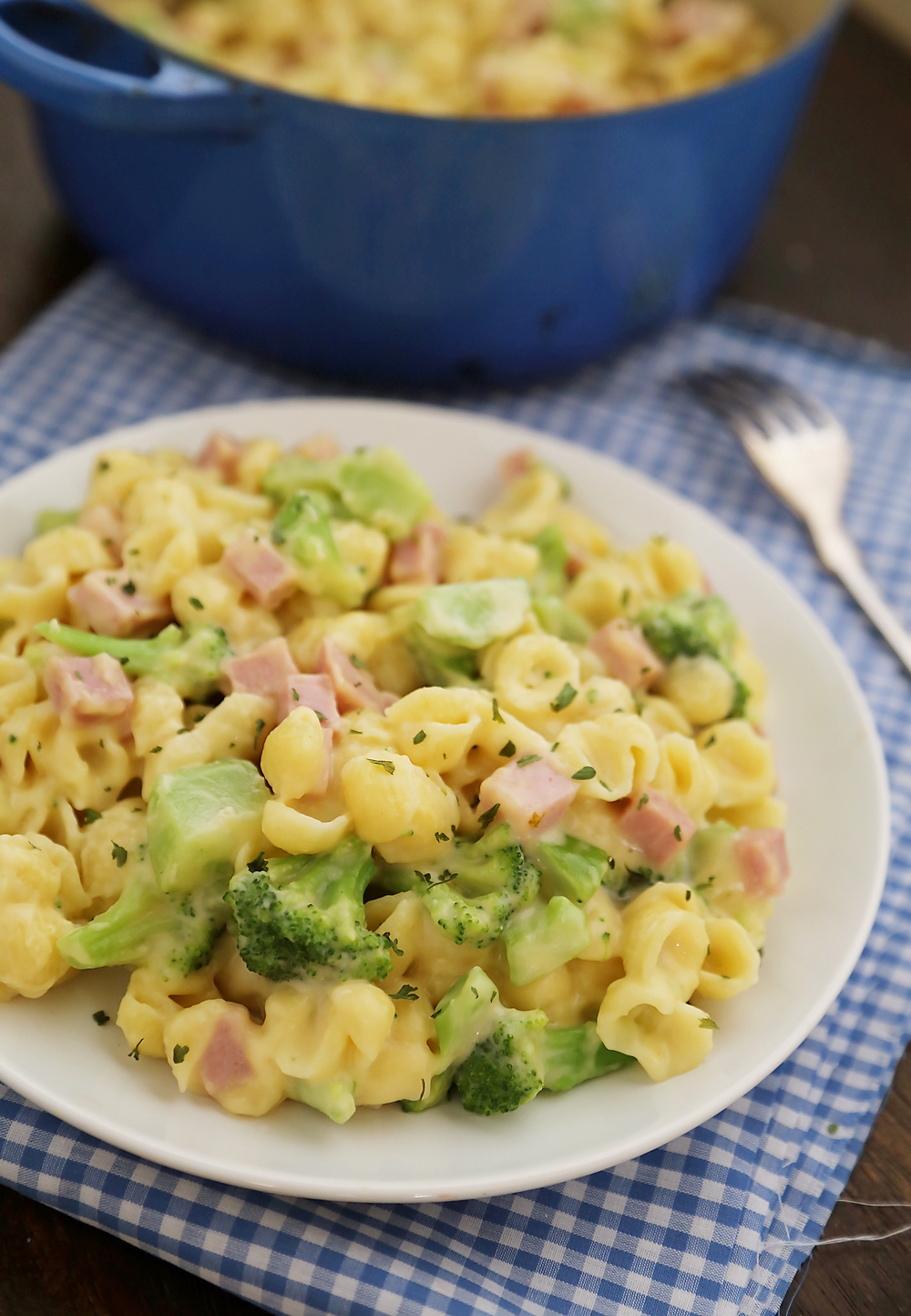 Creamy Ham and Broccoli Shells and Cheese - Cheesy, delicious and easy to make pasta dish with wholesome ingredients! Thecomfortofcooking.com