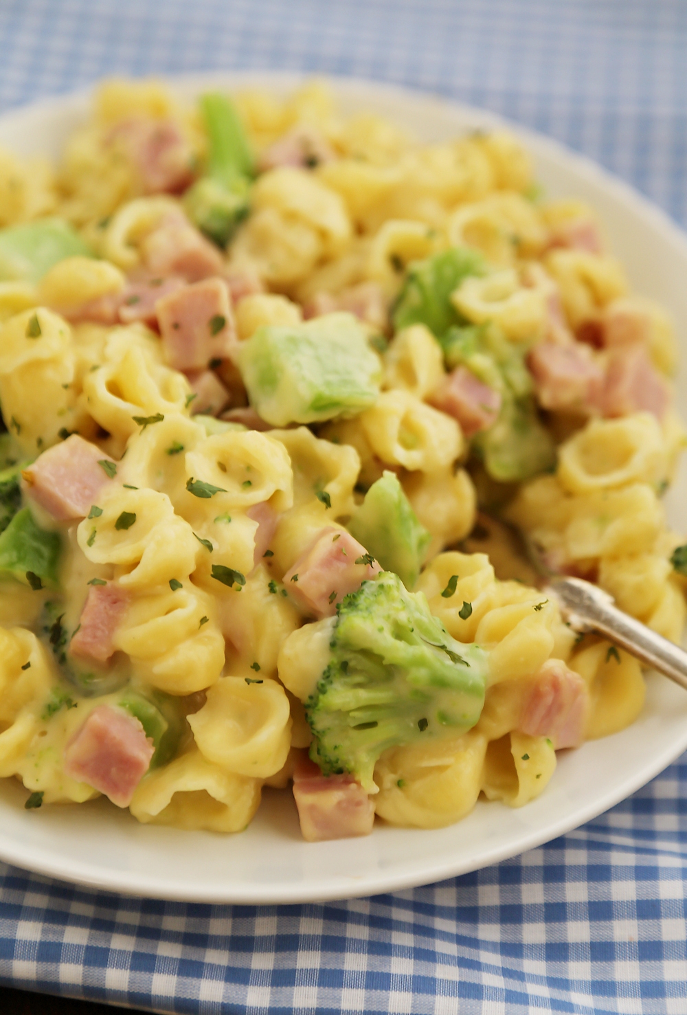 Creamy Ham and Broccoli Shells and Cheese - Cheesy, delicious and easy to make pasta dish with wholesome ingredients! Thecomfortofcooking.com