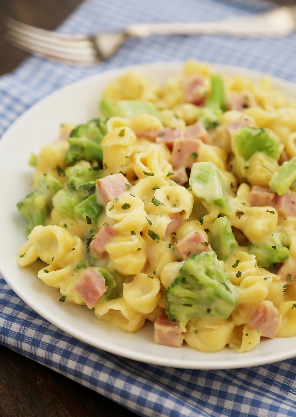 Creamy Ham and Broccoli Shells and Cheese - Cheesy, delicious and easy to make pasta dish with wholesome ingredients! Thecomfortofcooking.com