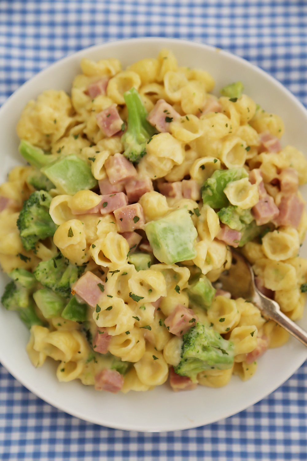 Creamy Ham and Broccoli Shells and Cheese - Cheesy, delicious and easy to make pasta dish with wholesome ingredients! Thecomfortofcooking.com