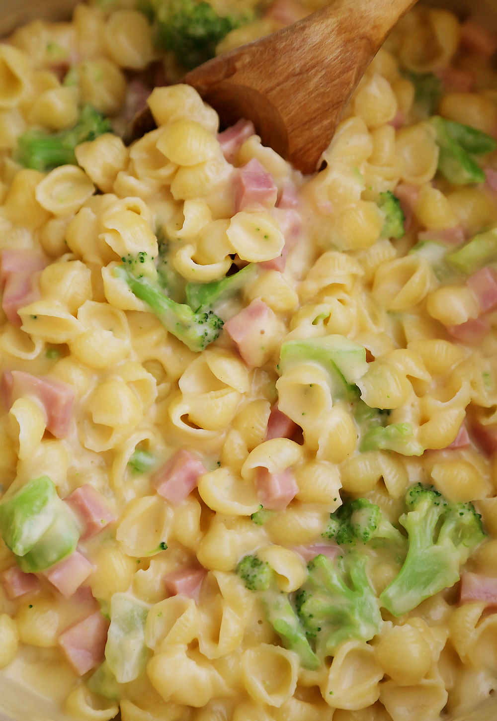 Creamy Ham and Broccoli Shells and Cheese - Cheesy, delicious and easy to make pasta dish with wholesome ingredients! Thecomfortofcooking.com