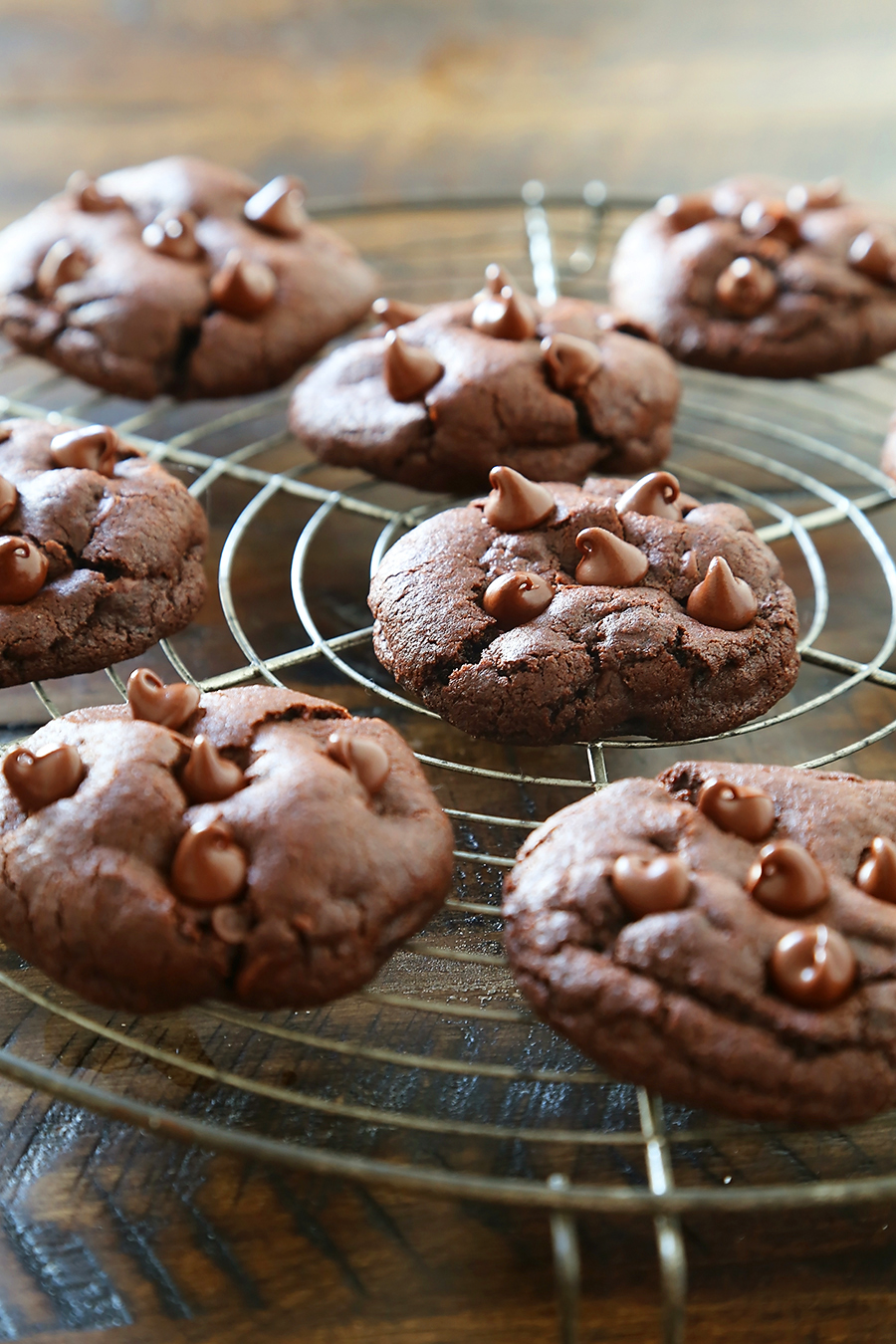 Soft & Chewy Double Chocolate Cookies - These cookies are melt-in-your-mouth good, and so easy to make. Less than 10 ingredients + 10 minutes in the oven! thecomfortofcooking.com