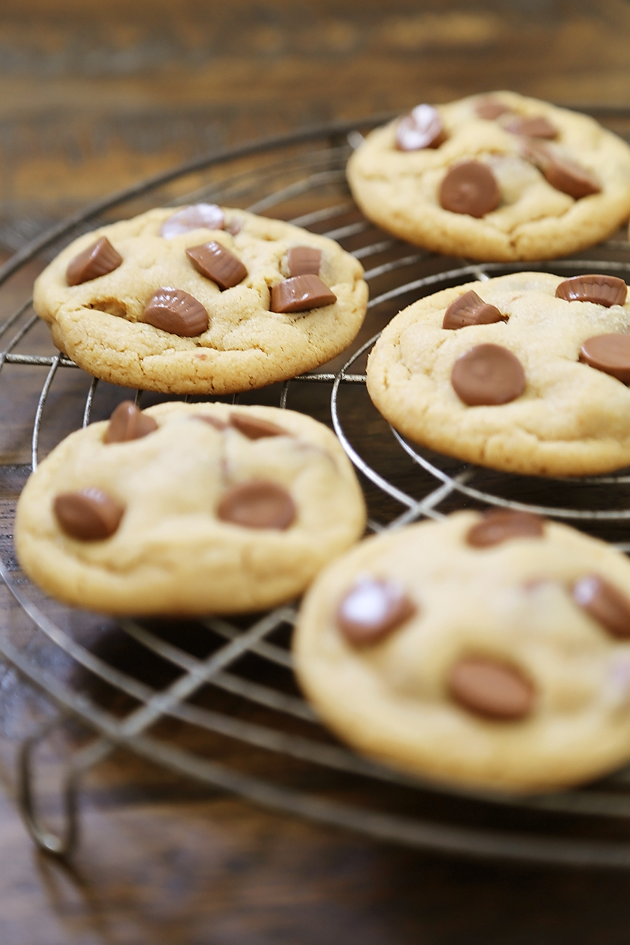 Soft Peanut Butter Cup Cookies - Perfectly soft and chewy peanut butter cookies, with gooey chocolate peanut butter cups hidden inside! Thecomfortofcooking.com