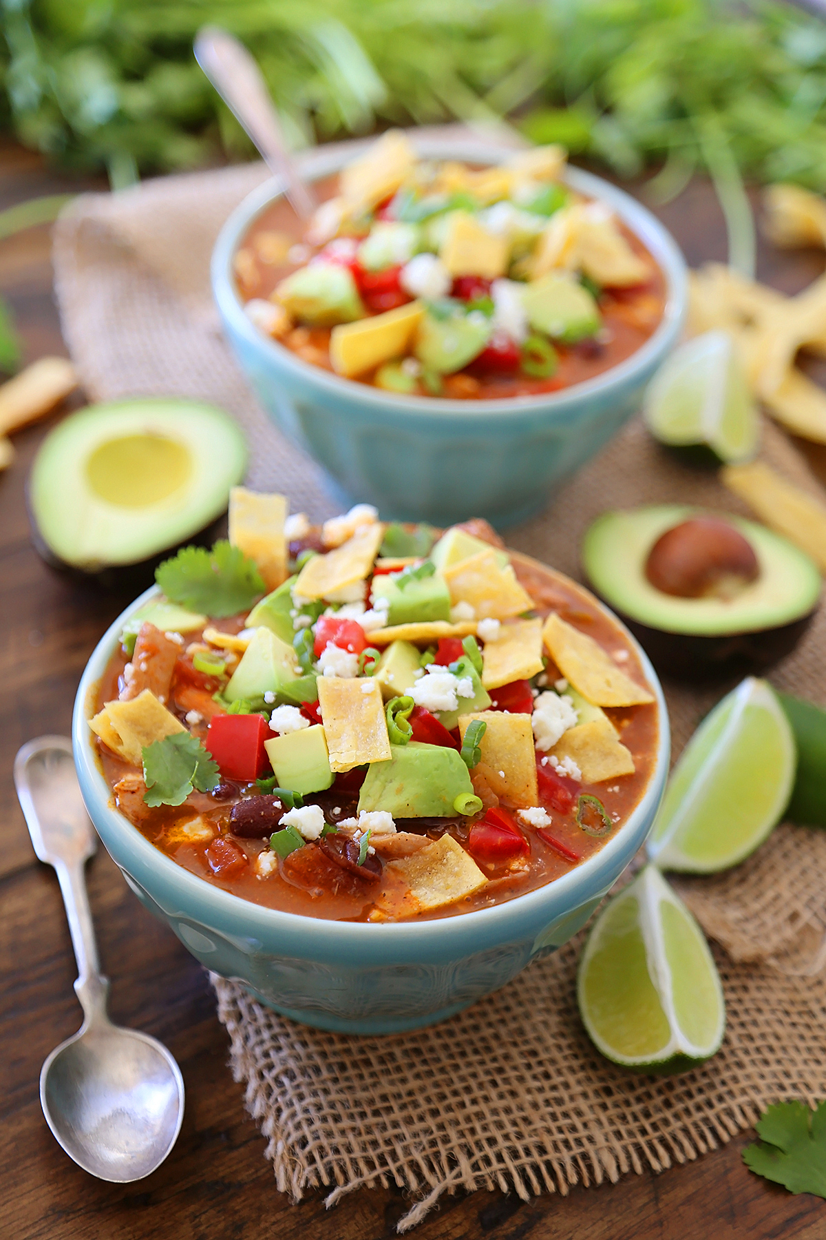 Easy Chicken Tortilla Soup - Serve this spicy, citrusy chicken tortilla soup for a fun twist on your weeknight meals! Add crunchy baked or fried tortilla strips (recipe included), cilantro, avocado and crumbled queso for a truly amazing soup! Thecomfortofcooking.com