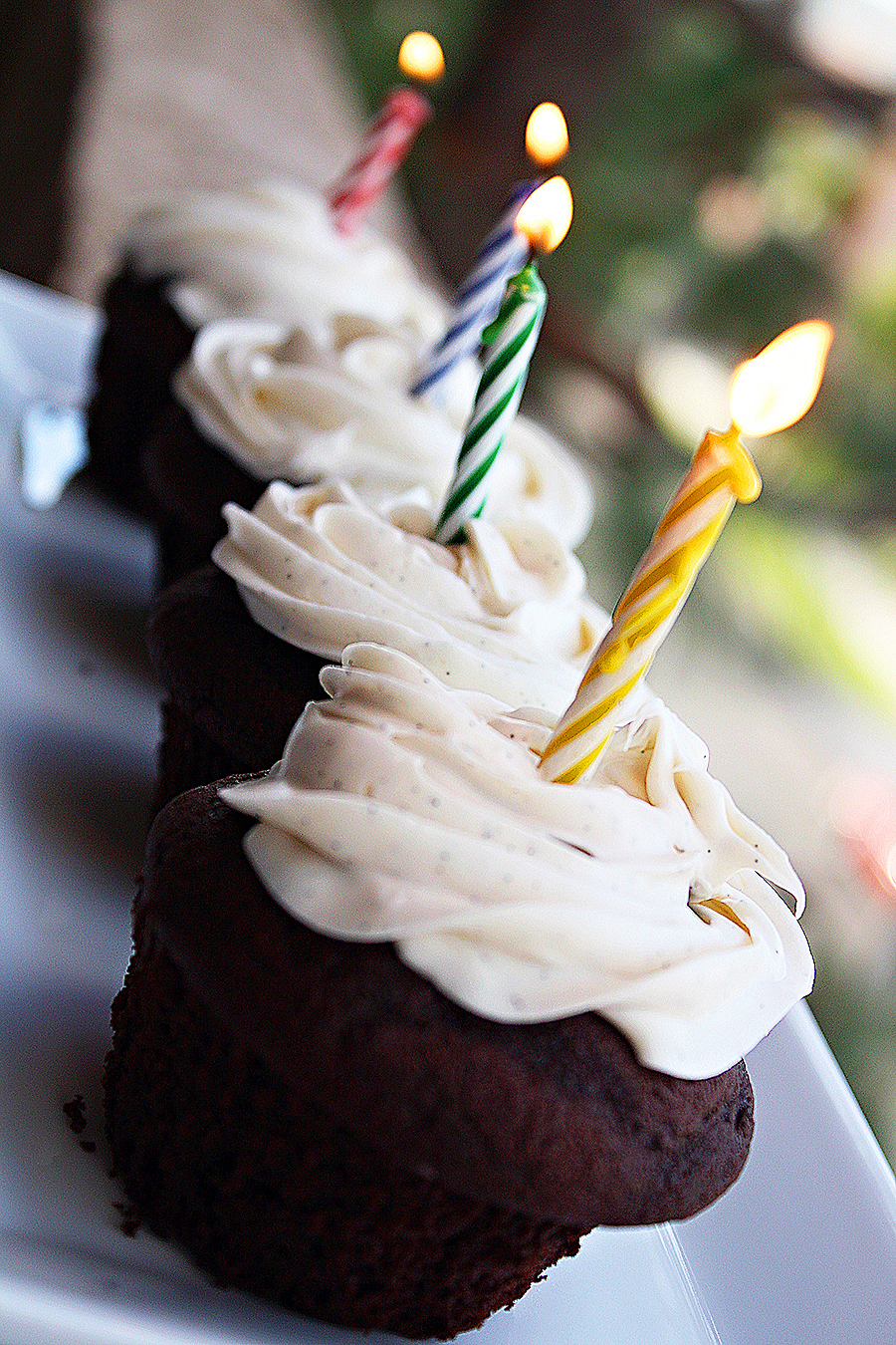 Chocolate Cupcakes with Vanilla Bean Buttercream