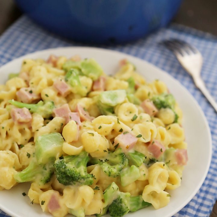 Creamy Ham and Broccoli Shells and Cheese