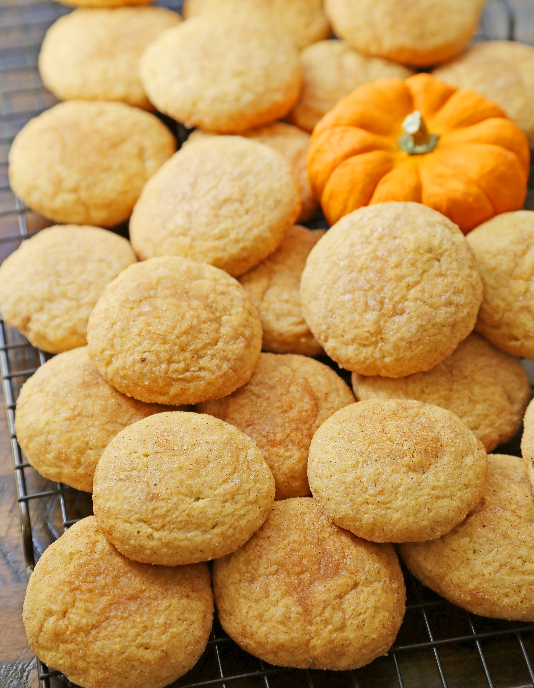 Pumpkin Snickerdoodles