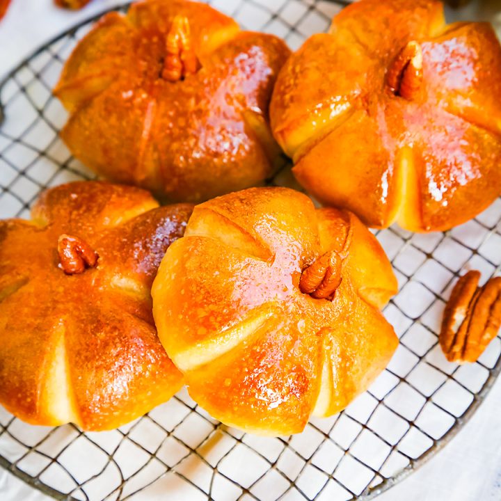 Pumpkin Dinner Rolls